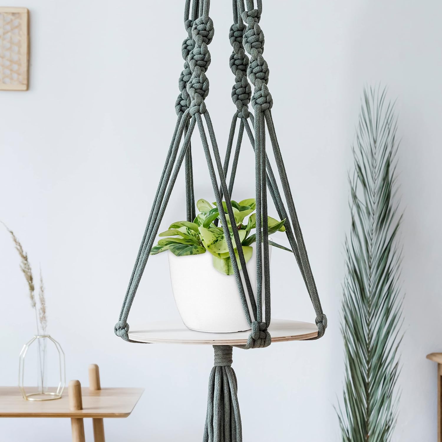 Utopia Home - Plant Pots with Drainage - 7/6.6/6/5.3/4.8 Inches Home Decor Flower Pots for Indoor Planter - Pack of 5 Plastic Planters, Cactus, Succulents Pot - White - Image 7